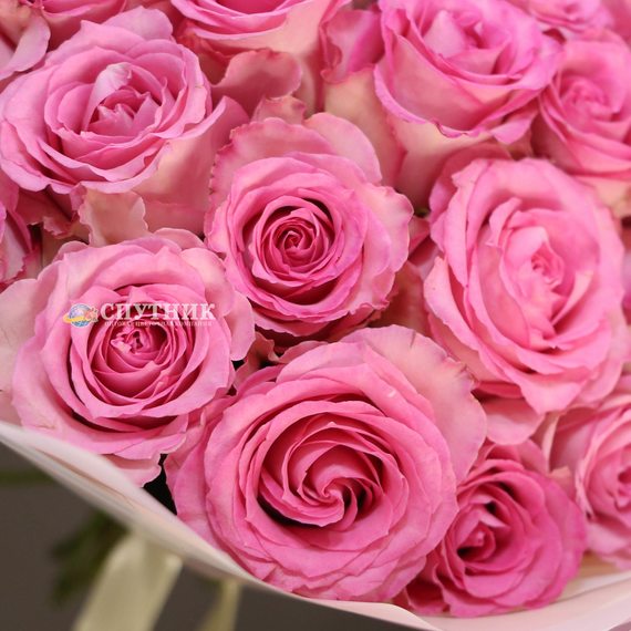 Букет 25 розовых роз Свит Юник