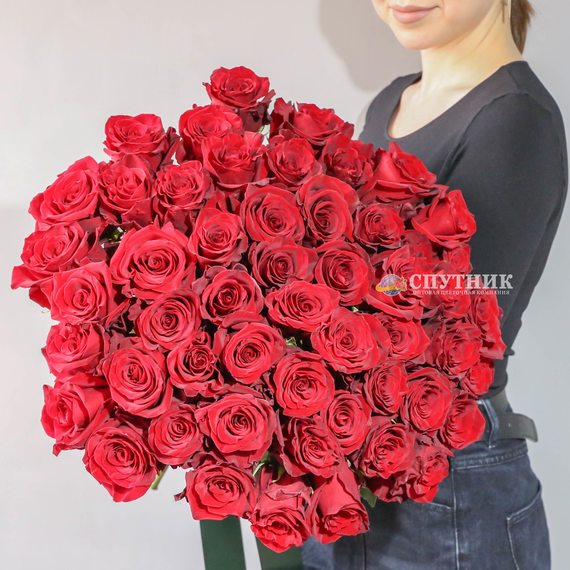 Букет 51 красная роза Эксплорер 50 см.