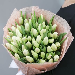 Букет тюльпаны классические белые 50 шт
