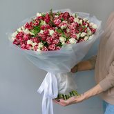 Букет из 60 красных и белых кустовых роз «Crazy love»